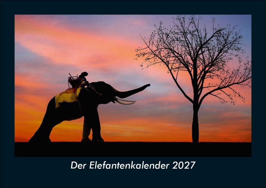 Der Elefantenkalender 2027 Fotokalender DIN A5 - Tobias Schmitt, Kevin Heber