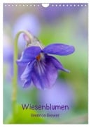 Cover-Bild zum Titel 'Wiesenblumen (Wandkalender 2026 DIN A4 hoch), CALVENDO Monatskalender' von 'Beatrice Biewer'