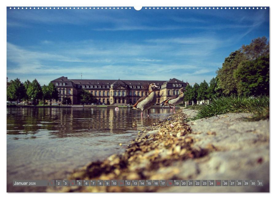 InsideView 6