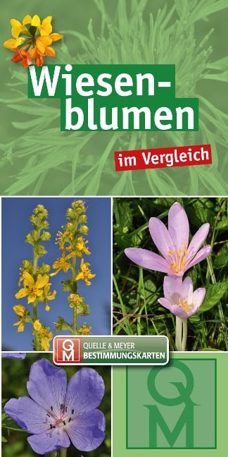 Wiesenblumen im Vergleich - 10er-Set - 