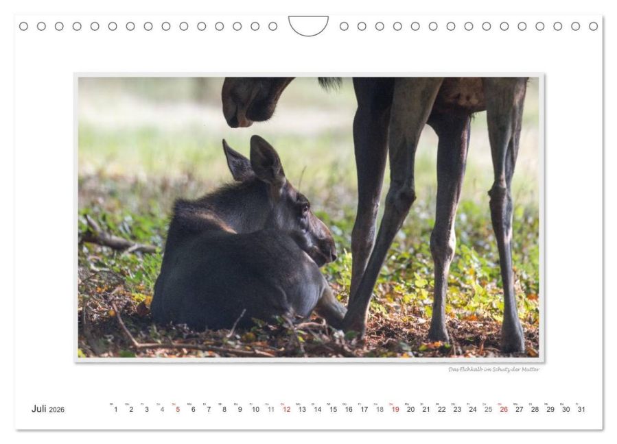 InsideView 12