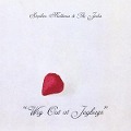 Cover-Bild zum Titel 'Wig Out At Jagbags' von 'Stephen And The Jicks Malkmus'
