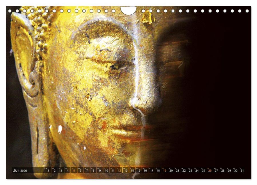 InsideView 12