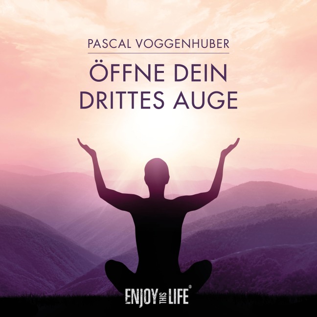 Öffne Dein drittes Auge - Pascal Voggenhuber