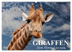 Giraffen. Dem Himmel so nah (Wandkalender 2025 DIN A2 quer), CALVENDO Monatskalender - Elisabeth Stanzer