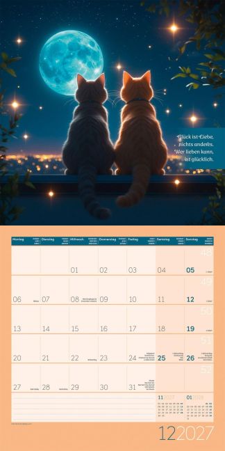 InsideView 12