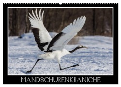Mandschurenkraniche (Wandkalender 2026 DIN A2 quer), CALVENDO Monatskalender - Thomas Schwarz Fotografie