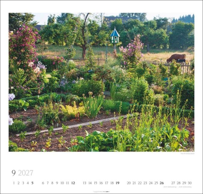 InsideView 9