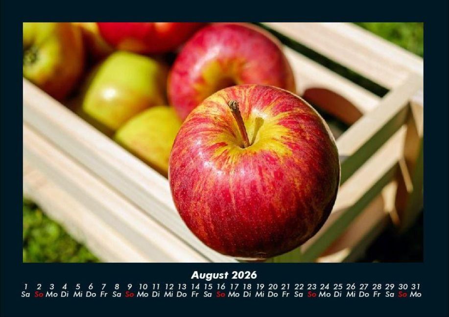InsideView 12