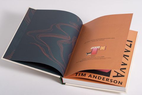 InsideView 12