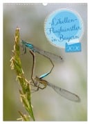 Cover-Bild zum Titel 'Libellen - Flugkünstler in Bayern (Wandkalender 2026 DIN A3 hoch), CALVENDO Monatskalender' von 'Werner Heldmann'