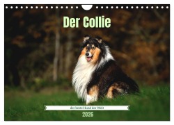 Cover-Bild zum Titel 'Der Collie der beste Hund der Welt (Wandkalender 2026 DIN A4 quer), CALVENDO Monatskalender' von 'Yvonne Janetzek'