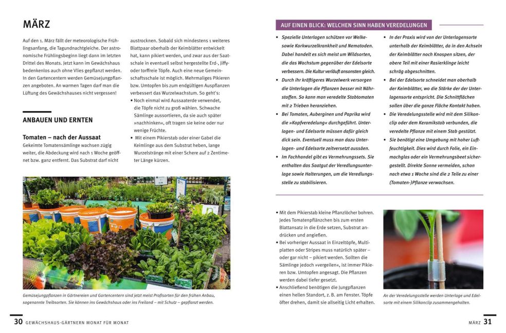 InsideView 5