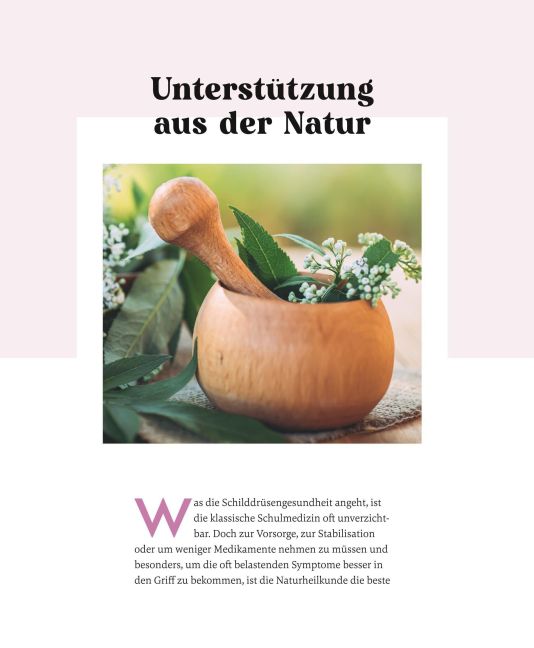 InsideView 39