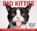 Bad Kitties 2025 6.2 X 5.4 Box Calendar - Willow Creek Press