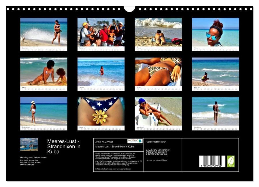 InsideView 5
