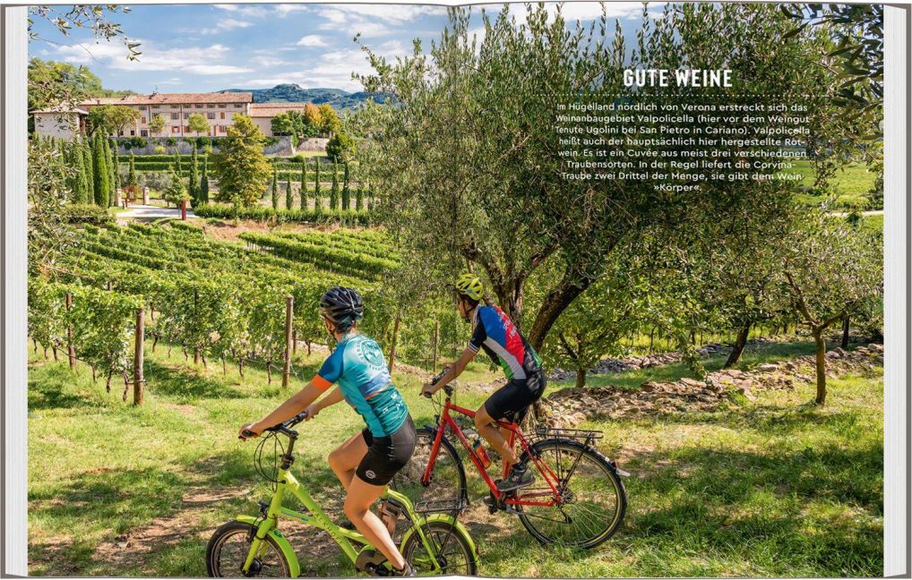 InsideView 14