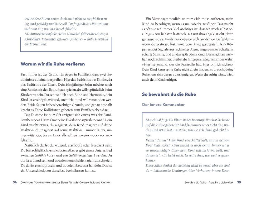 InsideView 6