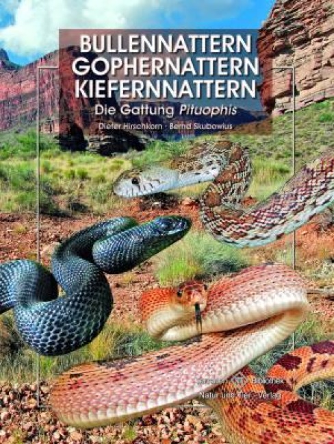 Bullennattern und Kiefernnattern - Bernd Skubowius, Dieter Hirschkorn