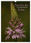 Juwelen der Natur - Ein Orchideensommer (Wandkalender 2026 DIN A3 hoch), CALVENDO Monatskalender - Dirk Stamm