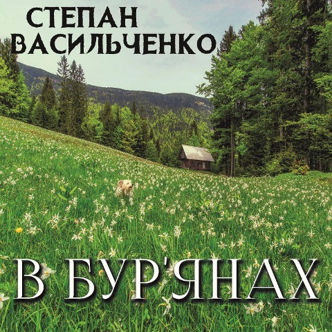 V bur'yanah - Stepan Vasylchenko