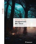 Cover-Bild zum Titel 'Olaganüstü Bir Gece' von 'Stefan Zweig'