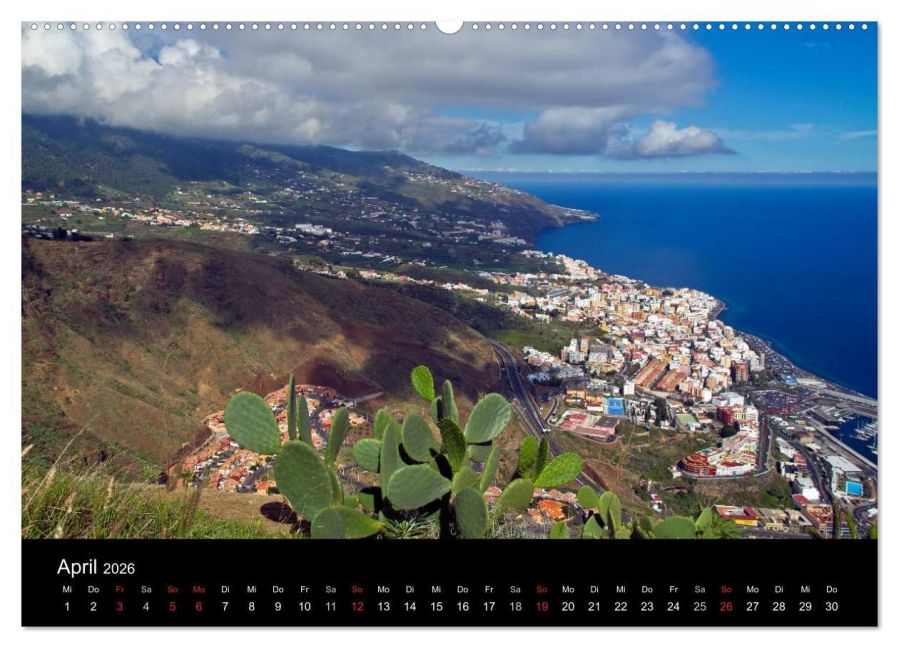 InsideView 8