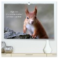 Tipps von Eichhörnchen an Eichhörnchenliebhaber (hochwertiger Premium Wandkalender 2025 DIN A2 quer), Kunstdruck in Hochglanz - Birgit Cerny
