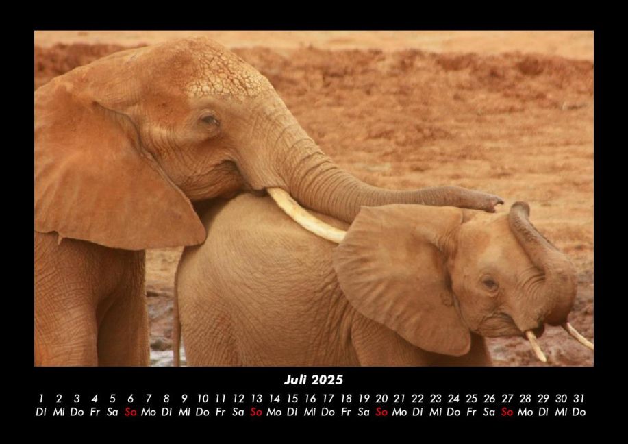 InsideView 11