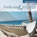 Wellness & Chillout - Various