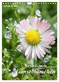 Verträumte Gänseblümchen (Wandkalender 2025 DIN A4 hoch), CALVENDO Monatskalender - Gisela Kruse