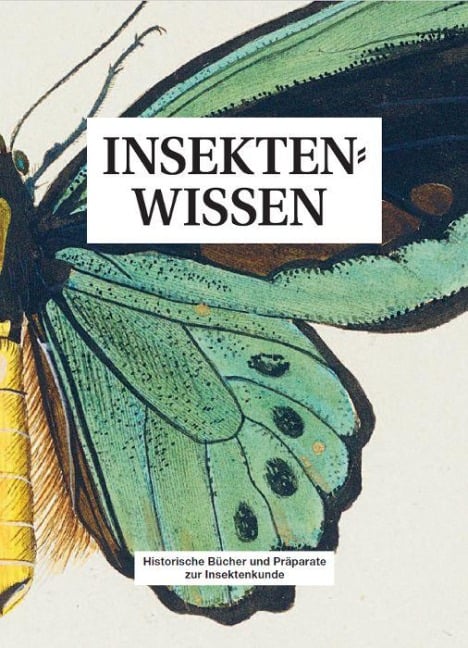 Insektenwissen - 