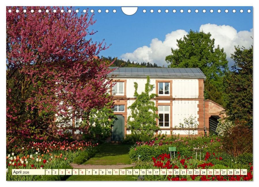 InsideView 9