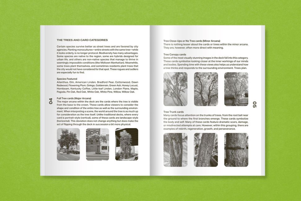 InsideView 12