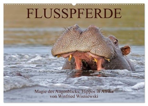 Flusspferde Magie des Augenblicks - Hippos in Afrika (Wandkalender 2024 DIN A2 quer), CALVENDO Monatskalender - Winfried Wisniewski