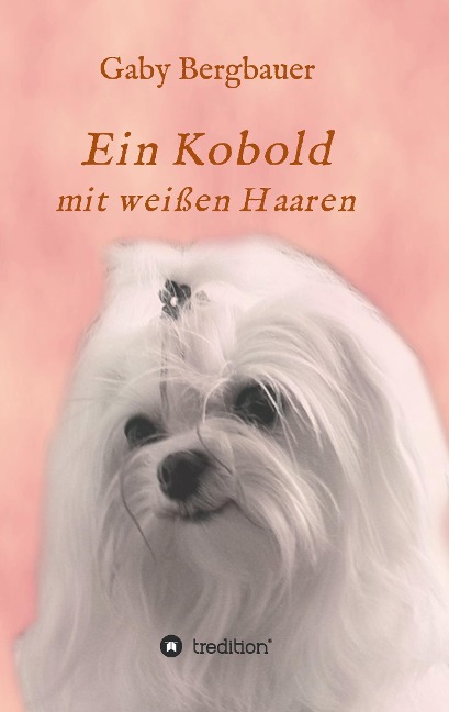 Ein Kobold mit weißen Haaren - Gabriela Bergbauer