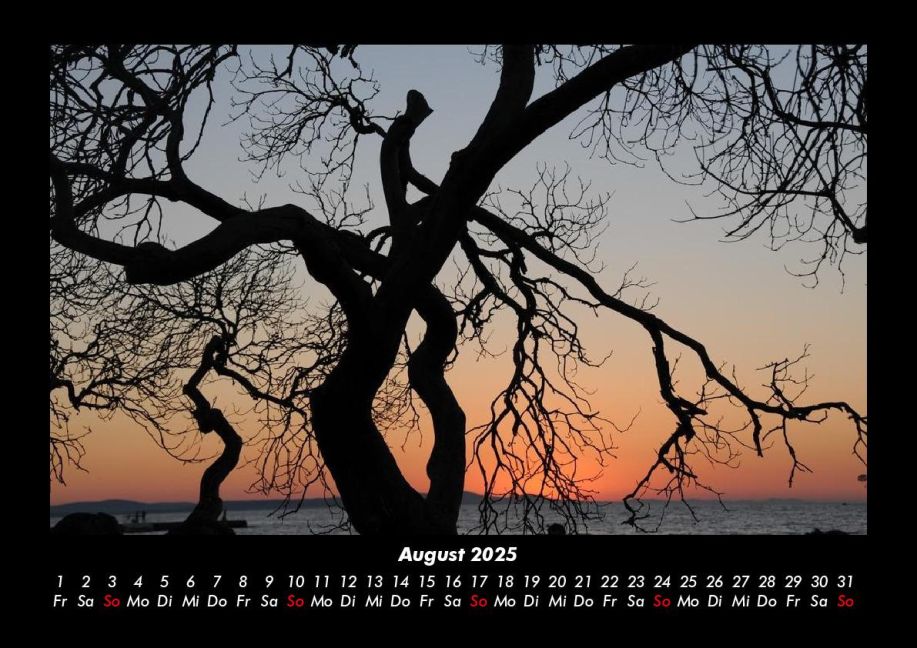 InsideView 12