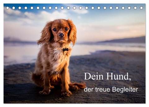 Dein Hund der treue Begleiter (Tischkalender 2025 DIN A5 quer), CALVENDO Monatskalender - Frank Gayde