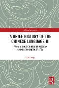 Cover-Bild zum Titel 'A Brief History of the Chinese Language III' von 'Xi Xiang'