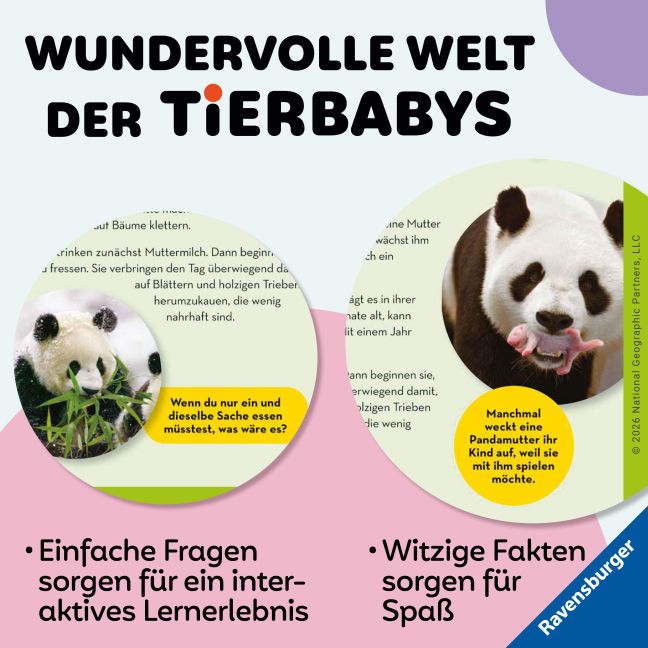 InsideView 3