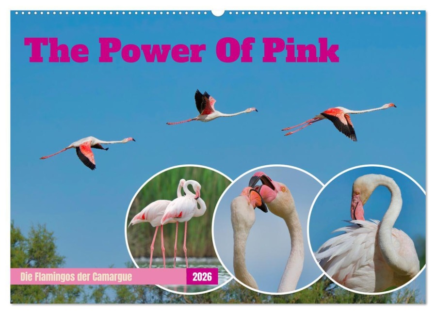 The Power Of Pink (Wandkalender 2026 DIN A2 quer), CALVENDO Monatskalender - Andreas Freund