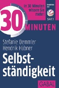Cover-Bild zum Titel '30 Minuten Selbstständigkeit' von 'Stefanie Demmler, Hendrik Hübner'