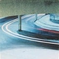 Cover-Bild zum Titel 'Triumph' von 'Megalodon Collective'