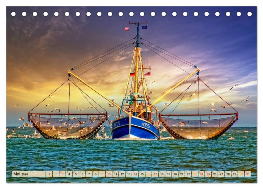 InsideView 10