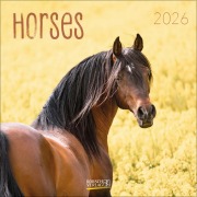 Horses 2026 - 