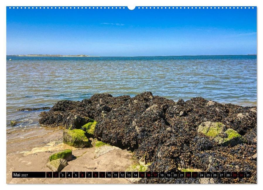 InsideView 9