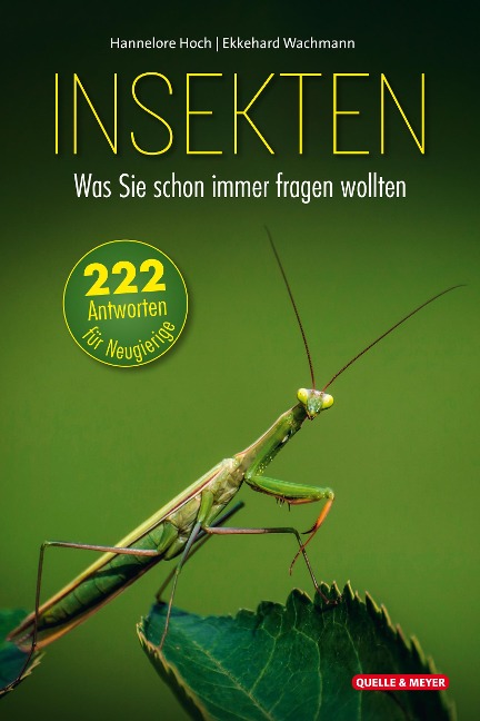 Insekten - Was Sie schon immer fragen wollten - Hannelore Hoch, Ekkehard Wachmann