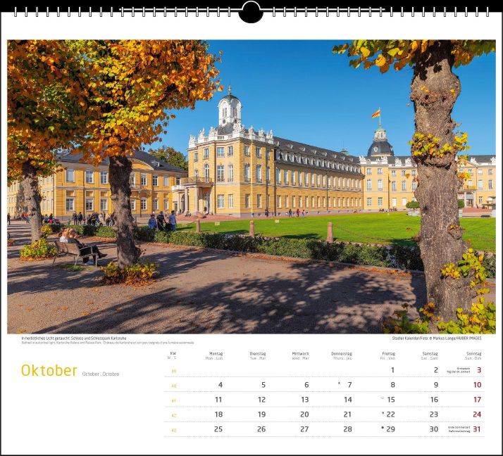 InsideView 10