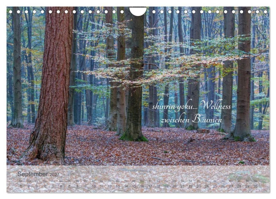 InsideView 14