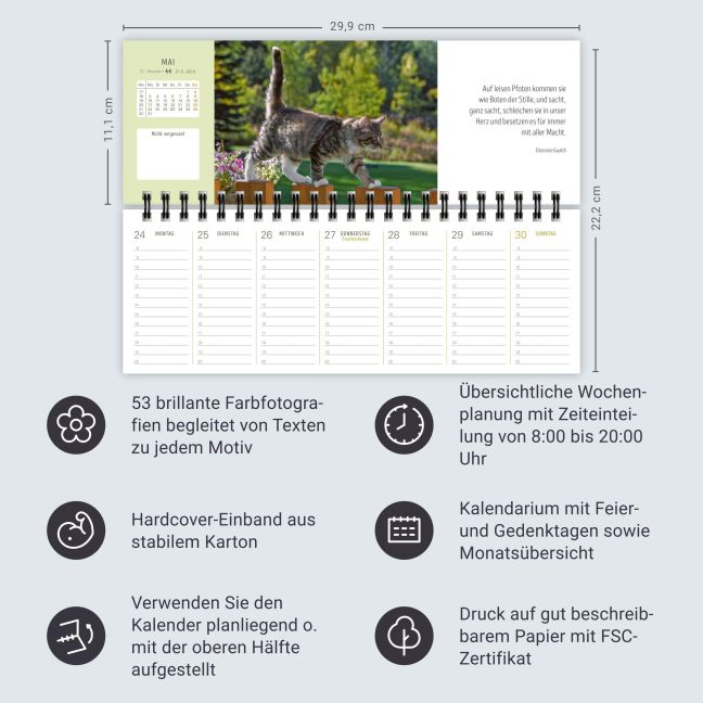 InsideView 13